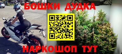 ешки Аргун