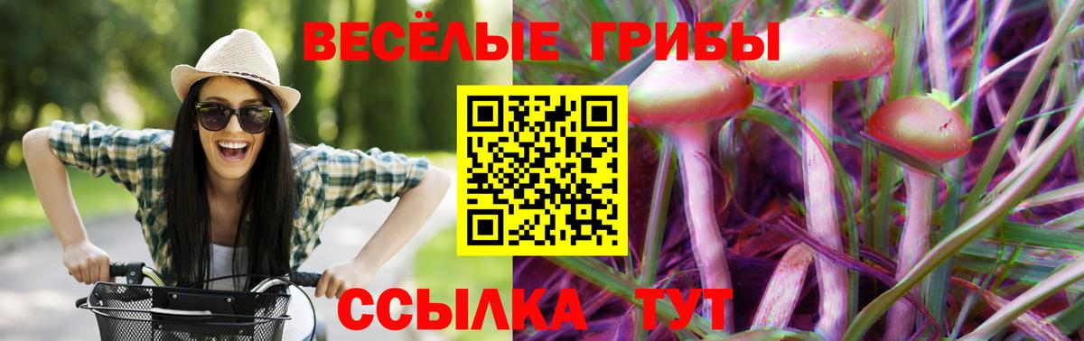 Псилоцибиновые грибы Psilocybe  Галлюциногенные грибы GOLDEN TEACHER  Вход с VPN  Балашиха 