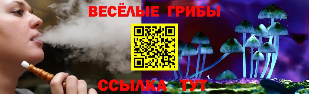 Галлюциногенные грибы Magic Shrooms Балашиха