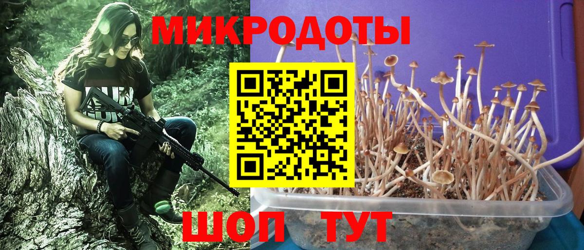 Галлюциногенные грибы MAGIC MUSHROOMS Балашиха